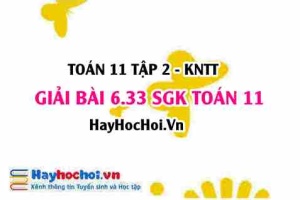 Bài 6.33 SGK Toán 11 Tập 2 Kết nối tri thức